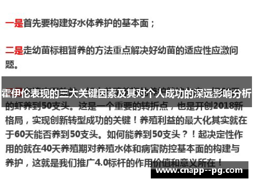 霍伊伦表现的三大关键因素及其对个人成功的深远影响分析