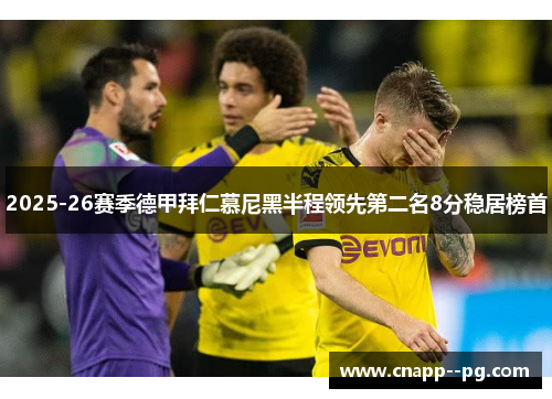 2025-26赛季德甲拜仁慕尼黑半程领先第二名8分稳居榜首 2025-26赛季德甲拜仁慕尼黑半程领先第二名8分稳居榜首